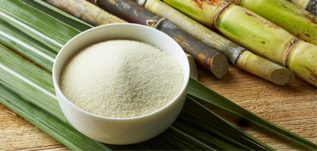 Bowl of white sugar & stick of sugarcane