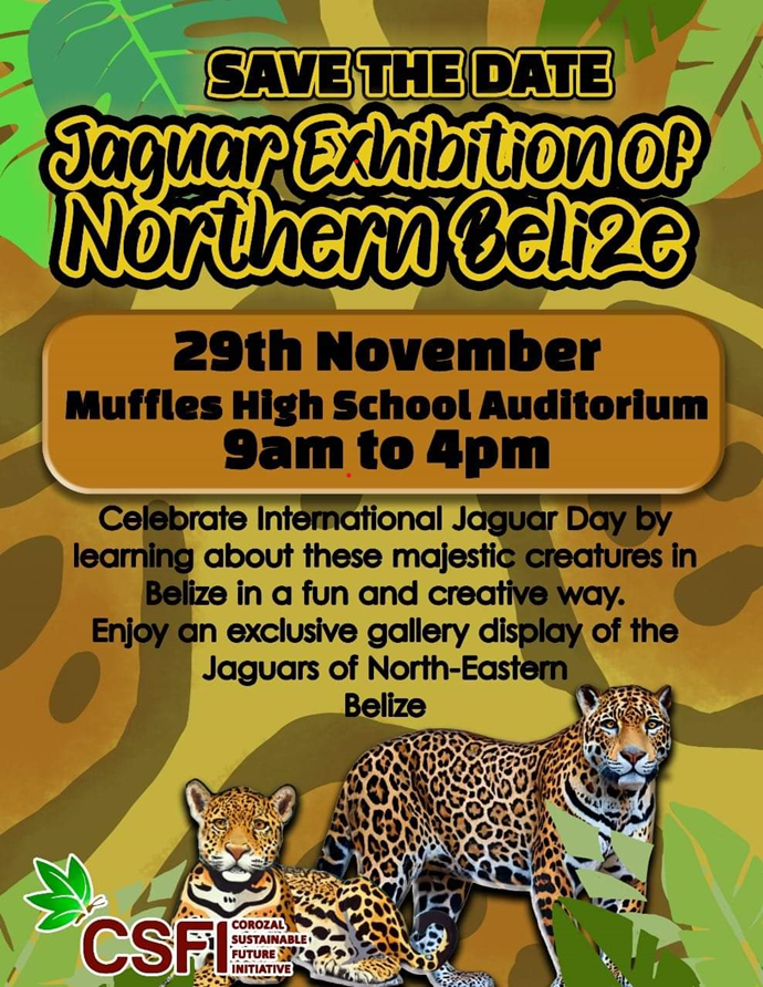 Celebrating jaguars in Belize on International Jaguar Day Tate & Lyle