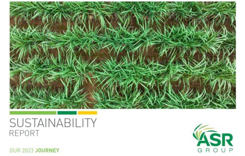 Screenshot of front of report image