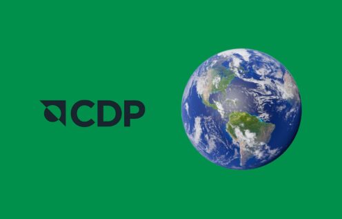 CDP logo and a picture of earth