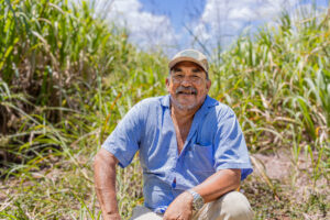 Man crouches in field of sugarcane