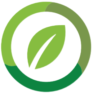 A green leaf surrounded by a green circle