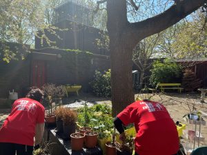 Two women in red T-shirts that read 'Every Day Earth Day' garden a small bed with some plant pots nearby. In the background is the community garden, St. John's church and a large tree
