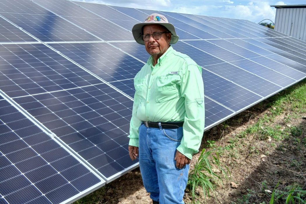 A sugarcane farmer stands in a field in front of solar panels
