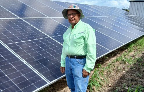 A sugarcane farmer stands in a field in front of solar panels