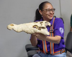 A woman in hi-vis presents a large crocodile skull