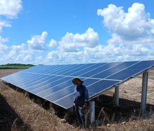 Farmer stood in front of solar panels in a field