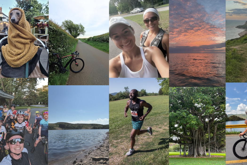 Photo collage of colleagues taking part in physical activity, in the countryside, running and cycling, alongside their pets!