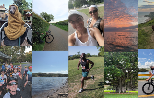 Photo collage of colleagues taking part in physical activity, in the countryside, running and cycling, alongside their pets!